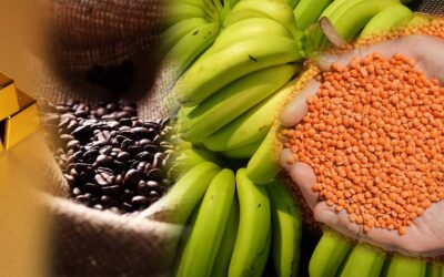 Blog 4 1 Exportaciones en América: Panorama general 2023