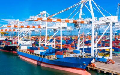 Tendencias en exportaciones 2024