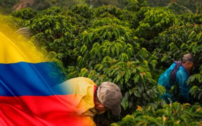 Sector agrícola en Colombia: principales productos y desafíos