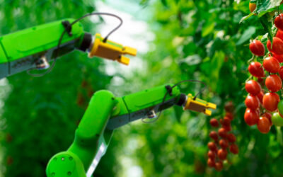 Agricultura 4.0: transformación digital en el campo
