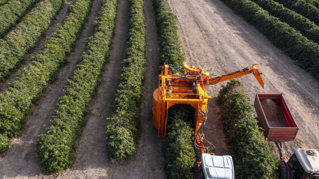 Costa Rica y la FAO - 01
