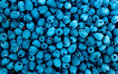 Exportación de commodities: errores que obstaculizan el éxito en el comercio internacional
