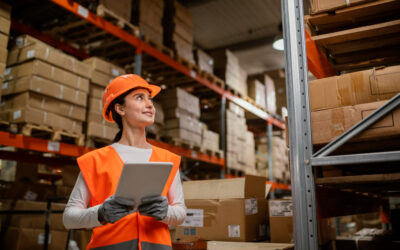 8 dificultades de no tener un operador logístico