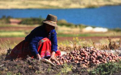 Formalización del agro peruano: retos, avances y oportunidades para el desarrollo