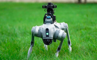Perros robots en el agro peruano: cultivo inteligente y rentabilidad sostenible