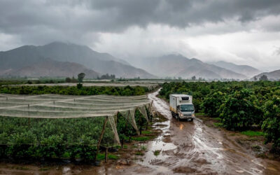 Pronóstico de lluvias 2026: Protege tu exportación